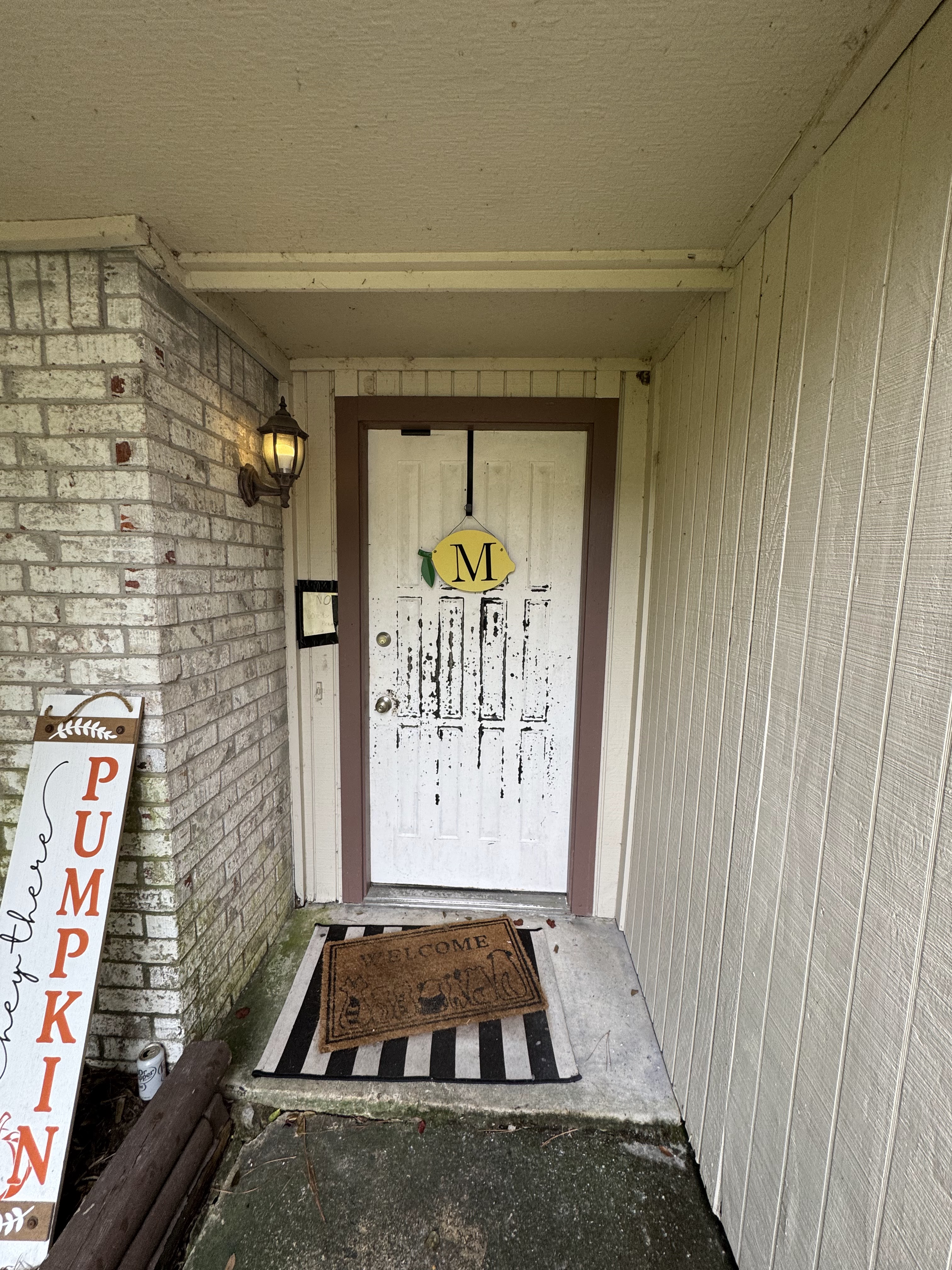 Door before remodel